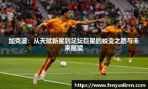 加克波：从天赋新星到足坛巨星的蜕变之路与未来展望